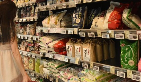 Giá gạo tăng vọt khi Nhật Bản xem xét lại an ninh lương thực