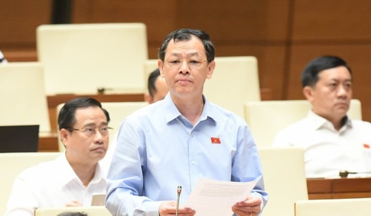 ĐBQH, Thứ trưởng Nguyễn Tri Thức: Dùng từ 'khỏi bệnh' với bệnh nhân tâm thần gây khó cho ngành Y tế