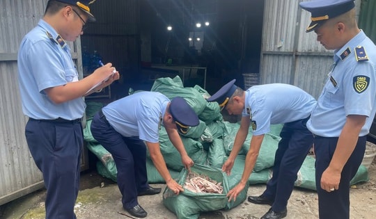Phát hiện gần 8 tấn chân gà không rõ nguồn gốc trong kho lạnh ở Móng Cái