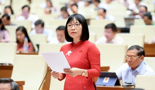 ĐBQH: Bỏ tử hình một số tội danh không phải là khoan dung với tội phạm