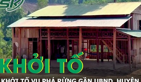 Hạt Kiểm lâm huyện Ia H'Drai, Kon Tum khởi tố vụ phá rừng gần trụ sở UBND huyện