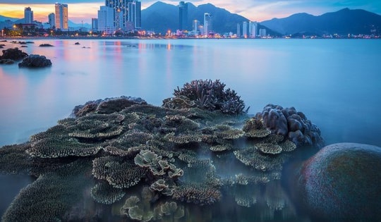 Vào khu vực có san hô ở biển Nha Trang để khai thác thủy sản bị xử phạt thế nào?