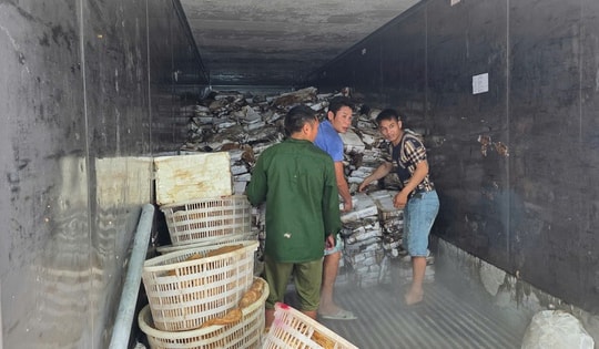 Khám kho hàng đông lạnh, phát hiện hơn 25 tấn thực phẩm bẩn chuẩn bị được tiêu thụ