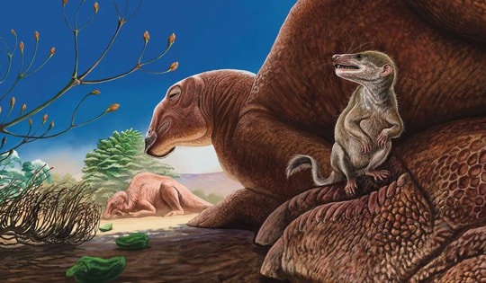 Sinh vật quái dị 90 triệu tuổi lộ diện giữa sa mạc Gobi