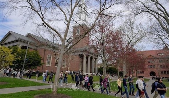 Mỹ yêu cầu các đại sứ quán tạm dừng phỏng vấn thị thực mới đối với sinh viên quốc tế