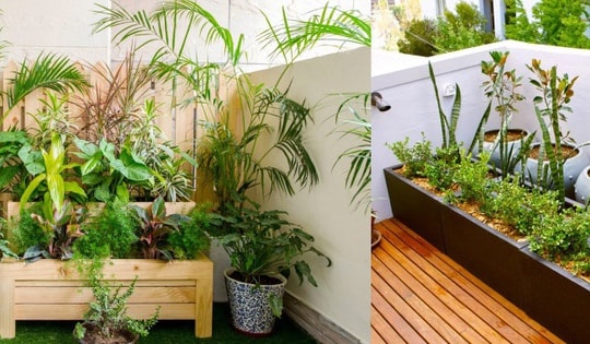 Lưu ý về hướng và cách bố trí không gian sân thượng để tránh những điều không may