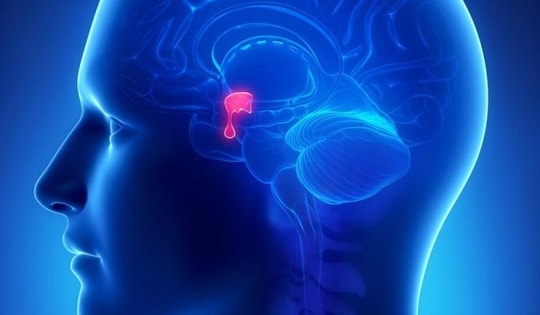 Người phụ nữ 61 tuổi ở Thanh Hóa bất ngờ phát hiện u tuyến yên từ dấu hiệu nhiều người Việt mắc phải