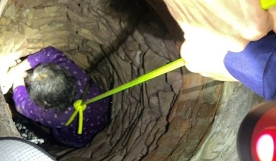 Rơi xuống giếng sâu, cụ bà 84 tuổi ở Bắc Giang được giải cứu thành công