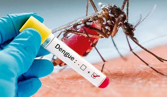 Sốt xuất huyết vào mùa cao điểm, đừng làm những việc này nếu không muốn gia tăng nguy cơ mắc bệnh