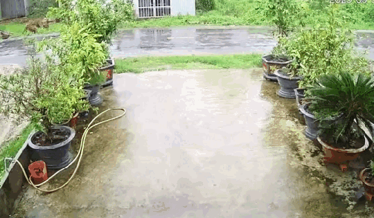 2 người đi xe máy tử vong vì va trúng dây điện chắn ngang đường ở Trà Vinh