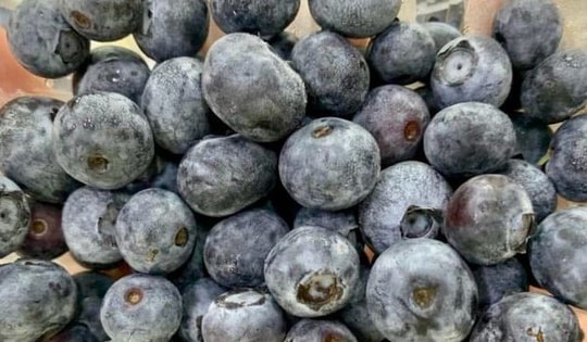 Những loại siêu thực phẩm bổ sung hàm lượng dinh dưỡng cao cho cơ thể