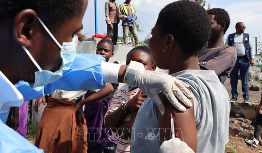 Dịch bệnh đậu mùa khỉ gia tăng mạnh tại châu Phi