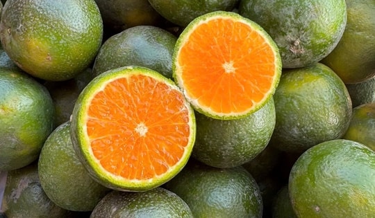 Cam Sen là cam gì, giá siêu rẻ, chỉ vài nghìn đồng/kg?