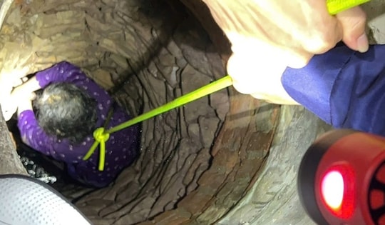 Bàng hoàng cụ bà 'lọt thỏm' dưới đáy giếng