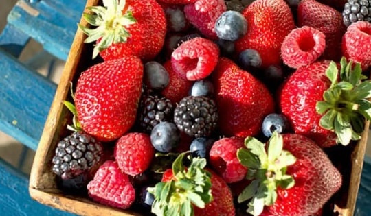 6 loại thực phẩm có khả năng đảo ngược quá trình lão hóa