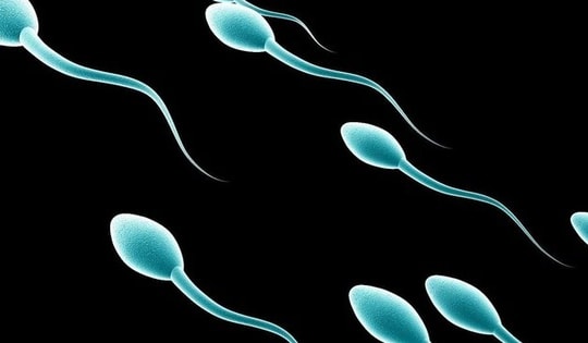 Bê bối người hiến tinh trùng mang gene gây ung thư làm cha của 52 trẻ em tại Bỉ