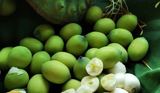 6 món ngon dễ làm từ hạt sen đang chính vụ giúp thanh nhiệt, mát gan, cải thiện mất ngủ ngày hè tốt cho cả nhà