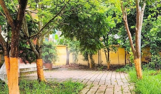 Hải Phòng sắp xếp lại một số đơn vị thuộc Sở Y tế