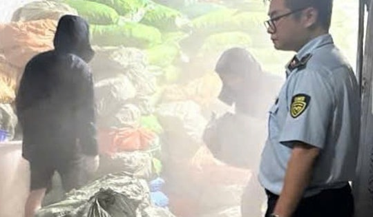 Quảng Ninh: Kiểm tra đột xuất một ko lạnh, tạm giữ hơn 12 tấn chân gà bốc mùi hôi thối đang được trữ đông để tiêu thụ