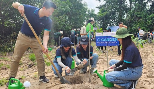 Tiếp tục kiến tạo giá trị bền vững: OPES trao tặng gần 1.300 cây giống tại tỉnh Tây Ninh