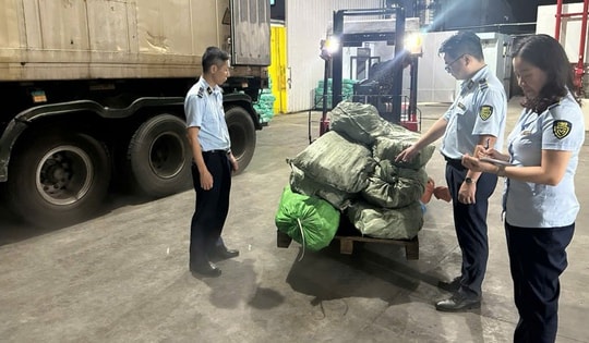 Hơn 12 tấn chân gà 'bốc mùi' không rõ nguồn gốc được phát hiện trong kho lạnh