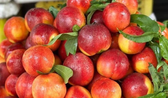 Quả đào vào mùa giá siêu rẻ, với vài mẹo nhỏ dễ biến tấu thành 5 món ngon giải nhiệt và ‘bắt trend’ mùa hè