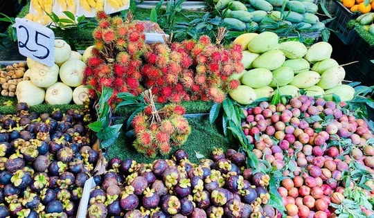 Loại quả giàu chất xơ là đặc sản Tây Bắc vào mùa bán đầy chợ giá hơn chục nghìn đồng/kg