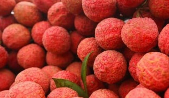 Mách bạn cách chọn vải thiều ngon