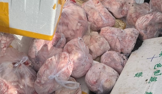 Chặn đứng gần 700kg thịt lợn, nội tạng động vật không đảm bảo an toàn vệ sinh thực phẩm