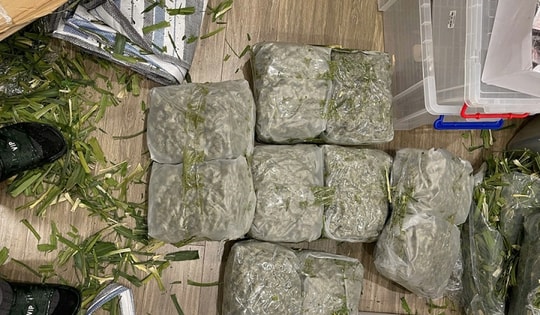 Mang ma túy lên mạng bán, 10 đối tượng bị bắt 
