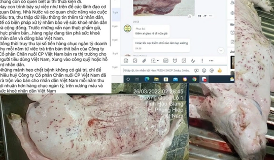 Chuyên gia hướng dẫn cách nhận biết thịt lợn sạch, an toàn