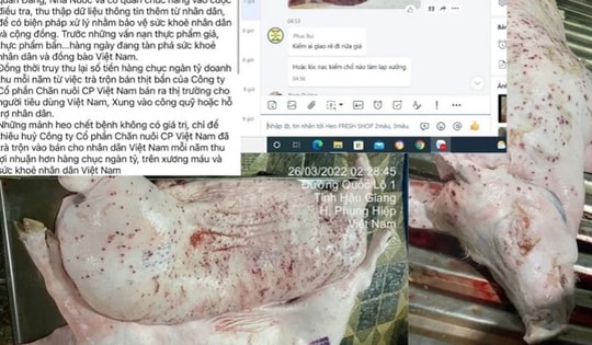 Đề nghị Bộ Công an vào cuộc vụ tố Công ty C.P. Việt Nam bán thịt lợn bệnh