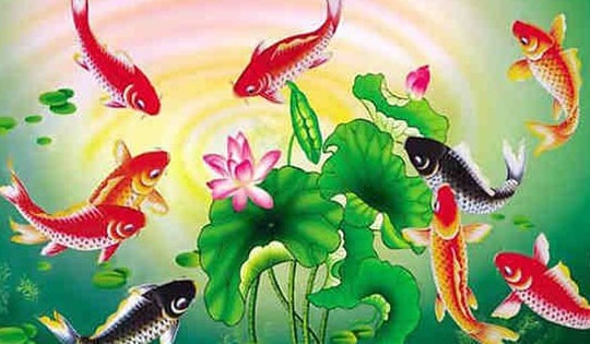 Cách bài trí tranh chín con cá chép giúp thăng tiến trong sự nghiệp và thịnh vượng về tài chính