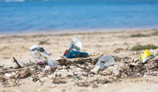 Ngày Môi trường thế giới năm 2025: Tài nguyên đa dạng sinh học biển có thể biến mất nếu không hạn chế rác thải nhựa