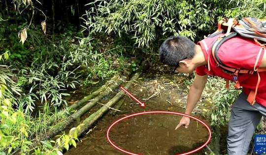 Lần theo tiếng động dưới vũng nước nông, cán bộ kiểm lâm hân hoan tìm thấy loài "tuyệt chủng" hơn 50 năm