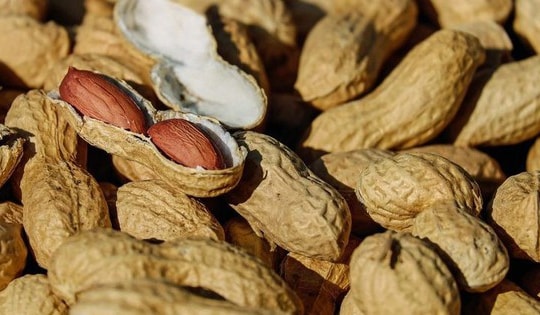 Đây là những thực phẩm các sĩ tử nên tránh ăn trước ngày thi để may mắn