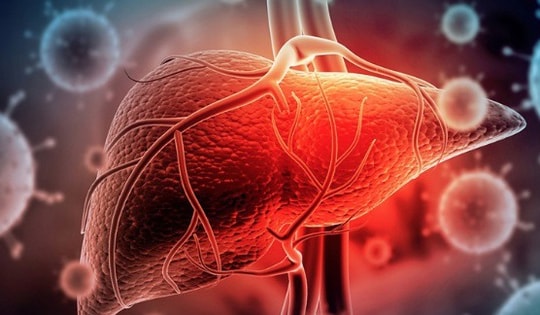 Dấu hiệu cảnh báo men gan tăng cao, làm ngay điều này để phòng bệnh