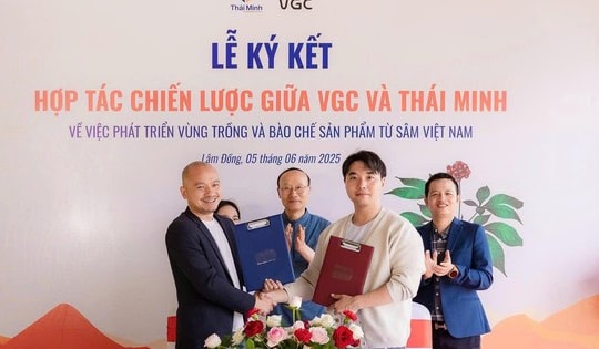 Sâm Thái Minh ký kết hợp tác chiến lược với VGC, bước tiến mới trong tiệm cận công nghệ trồng sâm Hàn Quốc
