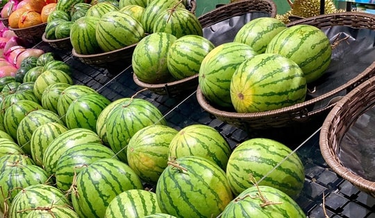 Tiểu thương lý giải nguyên nhân  dưa hấu bán tràn ngập thị trường giá chỉ 5.000 đồng/kg,