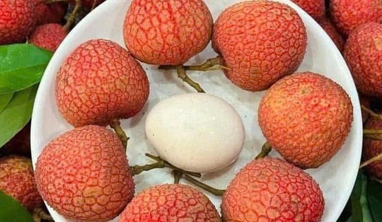 Xuất hiện loại vải VIP gây ‘sốt’ thị trường trái cây Việt, giá cao ‘chót vót’ vẫn được săn đón đến cháy hàng