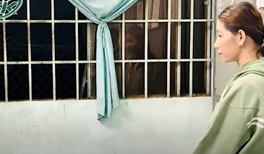 Cự cãi việc chó phóng uế bừa bãi, người phụ nữ bị mẹ con hàng xóm đánh tử vong ở Vĩnh Long