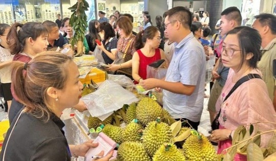 Lần đầu tiên có chuyến bay chở Sầu riêng Cần Thơ ra Hải Phòng tiêu thụ