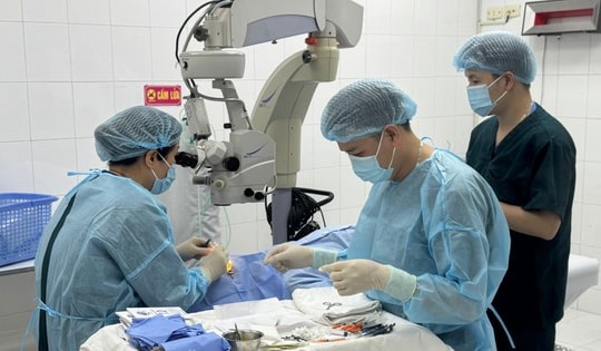 Mờ mắt đột ngột - Coi chừng tắc tĩnh mạch võng mạc!