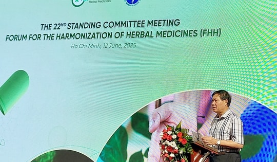 Thứ trưởng Đỗ Xuân Tuyên khai mạc Hội nghị Ban Thường trực Diễn đàn FHH