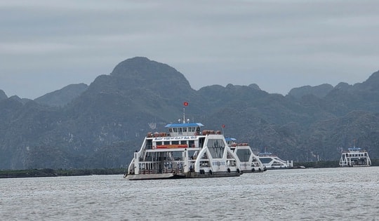 Hải Phòng ứng phó bão số 1: Tạm dừng cấp phép các hoạt động, lưu trú trên biển, cứu hộ kịp thời tàu cá gặp nạn