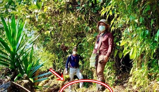 Lần theo tiếng động trên đám rêu ẩm ướt, cán bộ kiểm lâm hân hoan tìm thấy loài "tuyệt chủng" hơn 40 năm