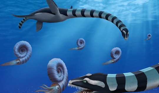 Thủy quái sọc vằn dài 12 m "hiện hình" ở Canada