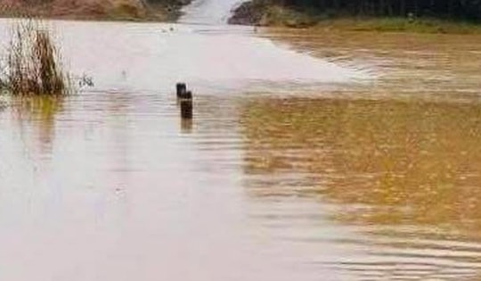 Đi bắt ếch, hai chị em ruột bị nước lũ cuốn trôi