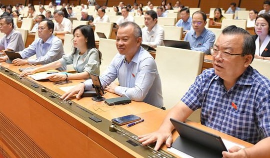 Quốc hội 'chốt': Nước trái cây, nước dừa, sản phẩm làm từ sữa không phải chịu thuế tiêu thụ đặc biệt