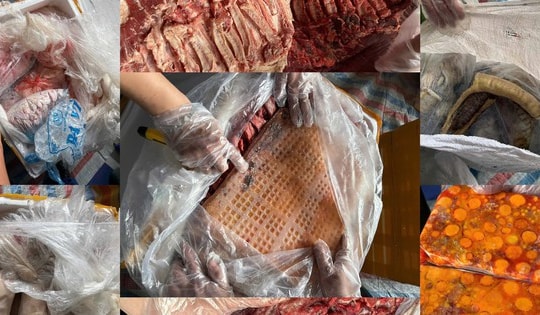 Hơn 20 tấn nội tạng, thịt động vật không rõ nguồn gốc bị bắt giữ tại Nam Định